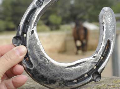 Spezialeisen z.B. für Laminitis-Fälle