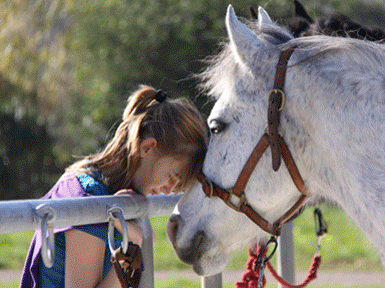 veterinarios mallorca